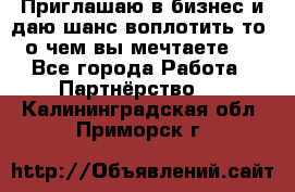 Приглашаю в бизнес и даю шанс воплотить то, о чем вы мечтаете!  - Все города Работа » Партнёрство   . Калининградская обл.,Приморск г.